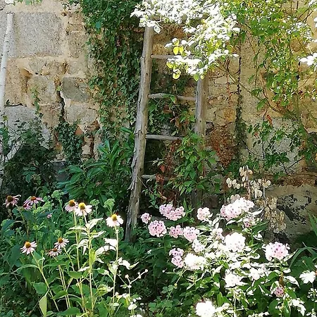 Bed & Breakfast D'hote Equestre Au Petit Bonheur Chateldon
