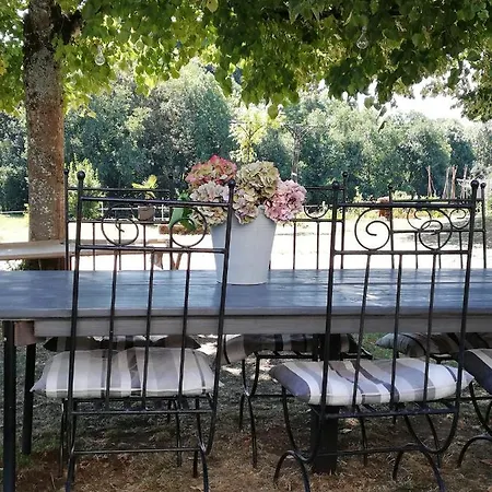 D'hote Equestre Au Petit Bonheur Bed & Breakfast Chateldon