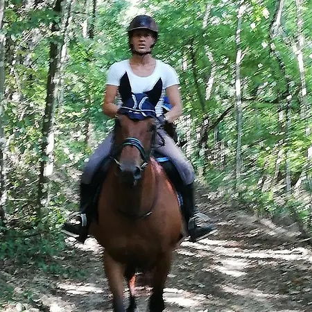 D'hote Equestre Au Petit Bonheur *