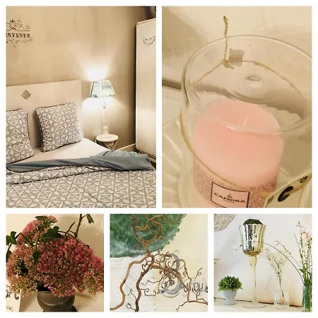 D'hote Equestre Au Petit Bonheur Bed & Breakfast *