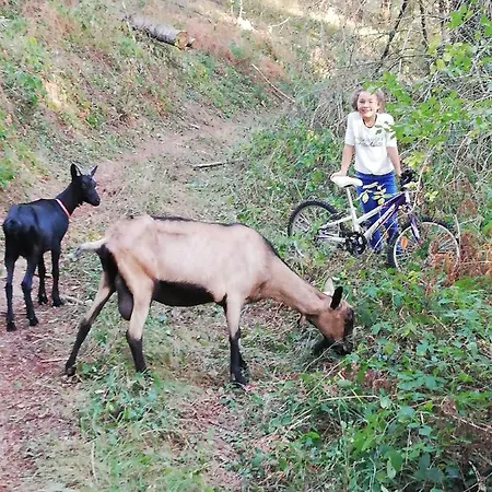 D'hote Equestre Au Petit Bonheur Chateldon